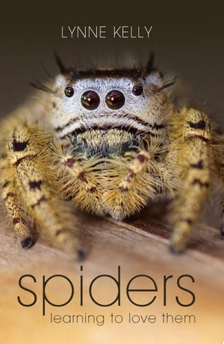 Spiders