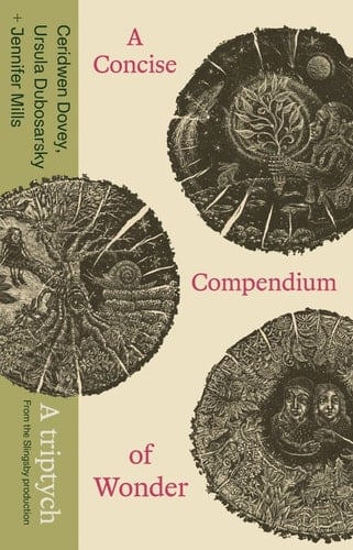 A Concise Compendium of Wonder