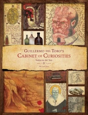 Cabinet Of Curiosities My Notebooks Collections And Other Obsessions