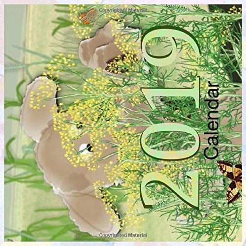2019 Calendar