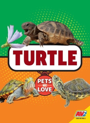 Turtle