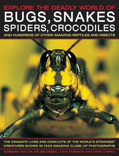 Explore The Deadly World Of Bugs Snakes Spiders Crocodiles