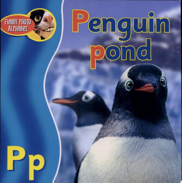 Penguin Pond