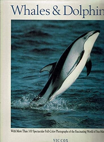 Whales & Dolphins