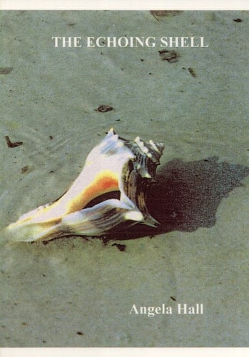 The Echoing Shell