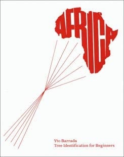 Tree Identification for Beginners