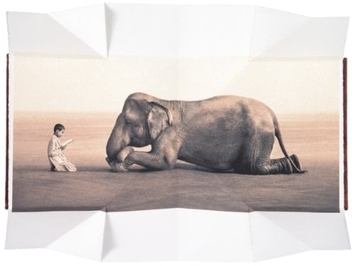 Boy Reading to Elephant