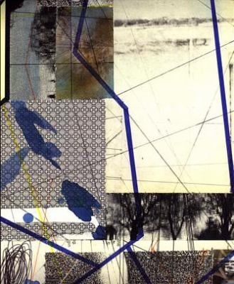 Animate Inanimate Aims