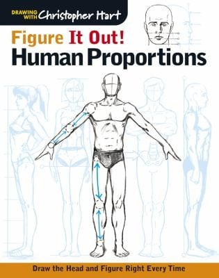 Figure it out Human proportions