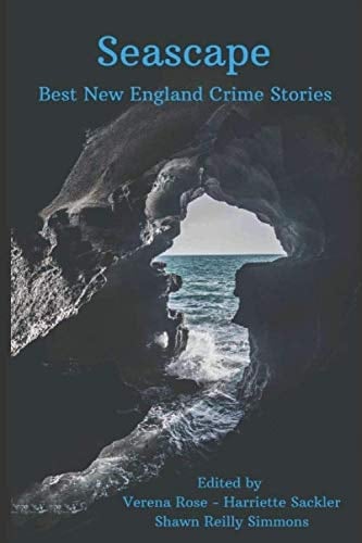 Seascape The Best New England Crime Stories of 2019