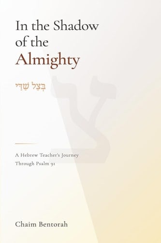 In the Shadow of the Almighty: A Hebrew Teacher's Journey Through Psalm 91
