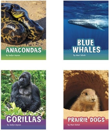 Animals