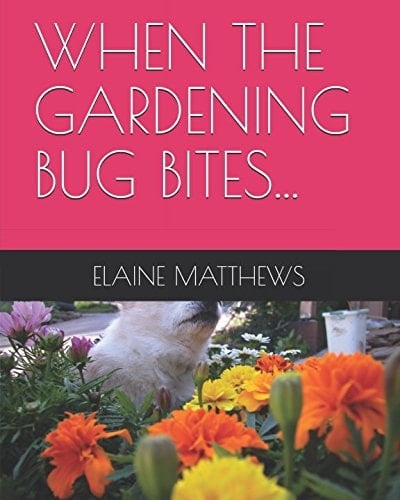 When the Gardening Bug Bites...