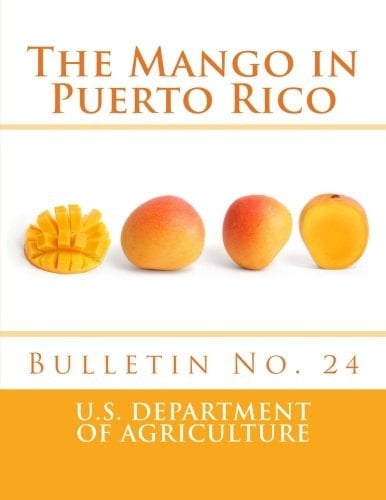 The Mango in Puerto Rico Bulletin No. 24