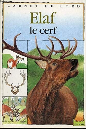 Elaf, le cerf