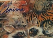 Anima