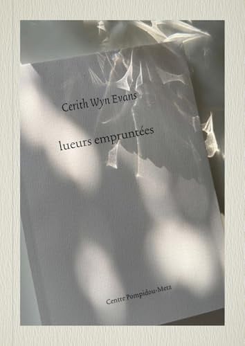 Cerith Wyn Evans lueurs empruntées