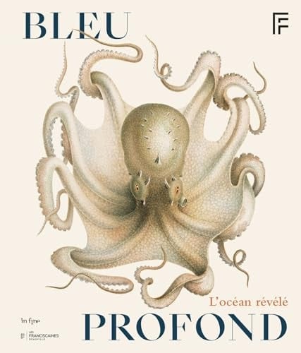 Bleu profond L'océan révélé