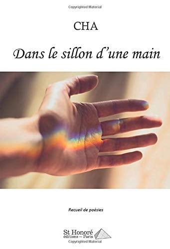 Dans le sillon d'une main