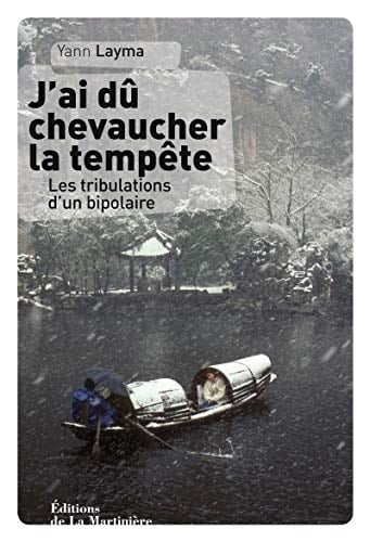 J'ai dû chevaucher la tempête Les tribulations d'un bipolaire