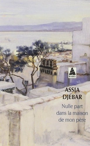 Nulle part dans la maison de mon père roman