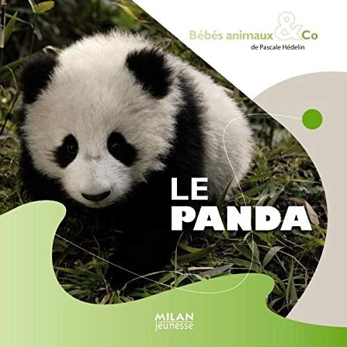 Le panda