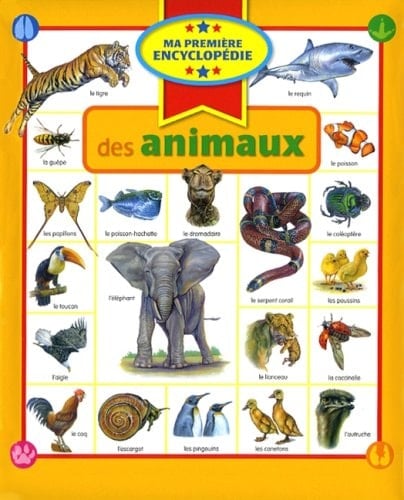 Ma Première Encyclopédie des Animaux