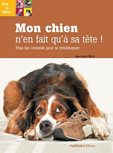 Mon chien n'en fait qu'à sa tête !: Tous les conseils pour le (ré)éduquer