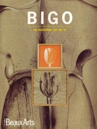 Bigo : la troisième vie de V.