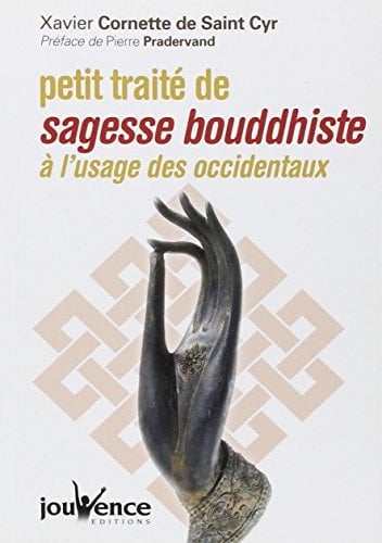 Petit traité de sagesse bouddhiste: à l'usage des occidentaux