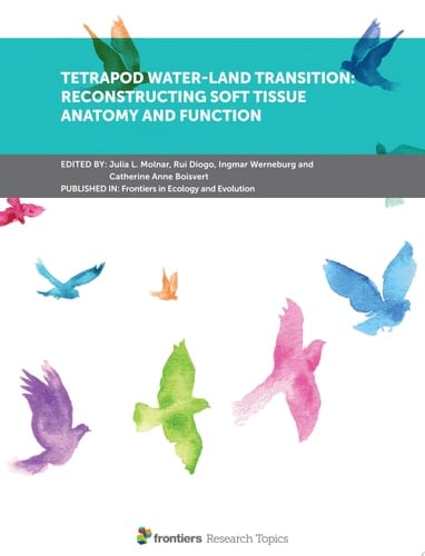 Tetrapod Water-Land Transition: Reconstructing Soft Tissue Anatomy and Function