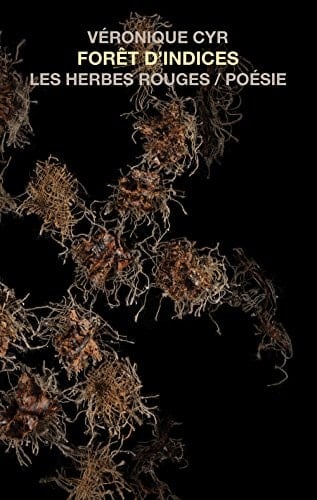 Forêt d'indices poésie