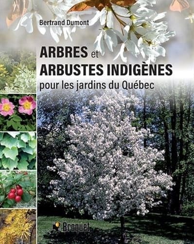 Arbres et arbustes indigènes pour les jardins du Québec