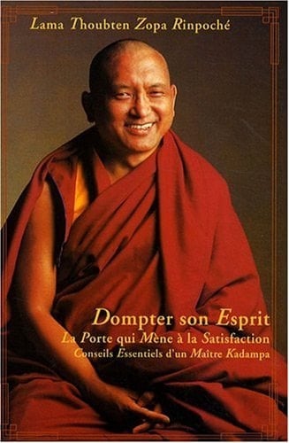 Dompter son esprit, la porte qui mêne à la satisfaction conseils essentiels d'un maître Kadampa donnés en le lieu sacré de Bodhagya (Inde) et basé sur le texte Ouvrir la Porte du Dharma