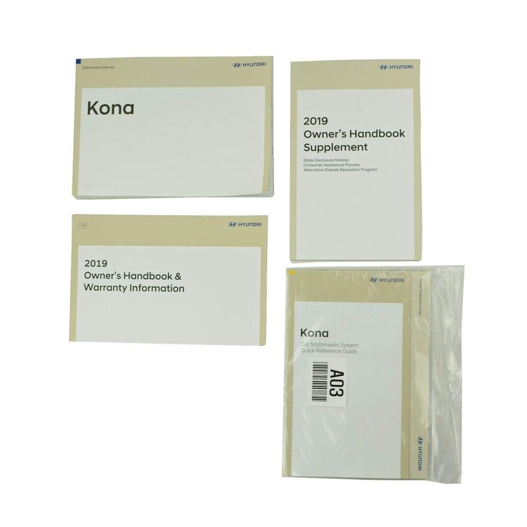 2019 Hyundai Kona Owners Manual 19