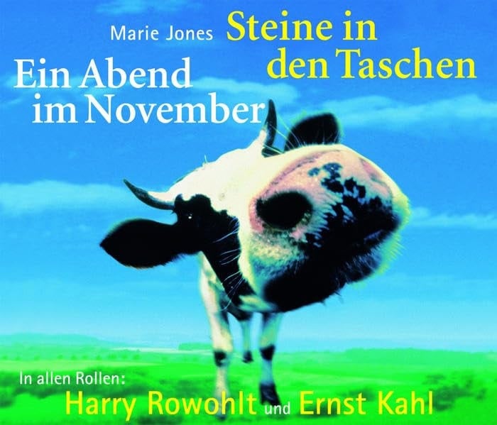 Steine in den Taschen. Ein Abend im November. 4 Audio-CDs.