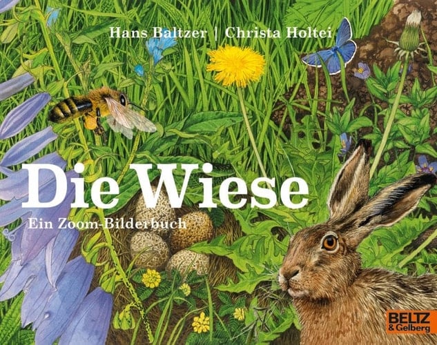 Die Wiese Ein Zoom-Bilderbuch