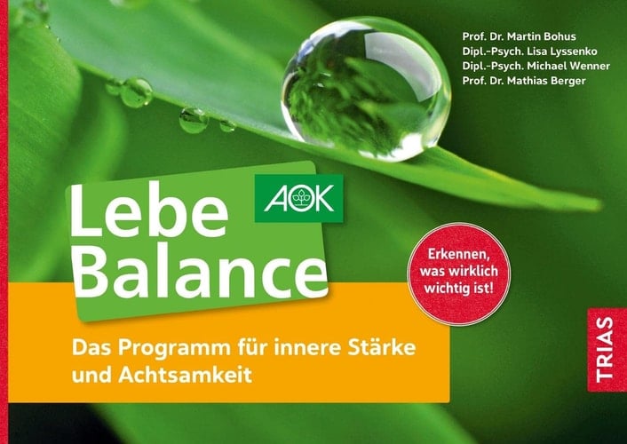 Lebe Balance Das Programm für innere Stärke und Achtsamkeit