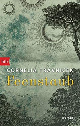 Feenstaub Roman