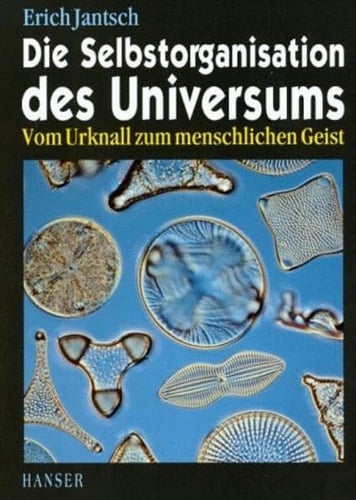 Die Selbstorganisation des Universums vom Urknall zum menschlichen Geist