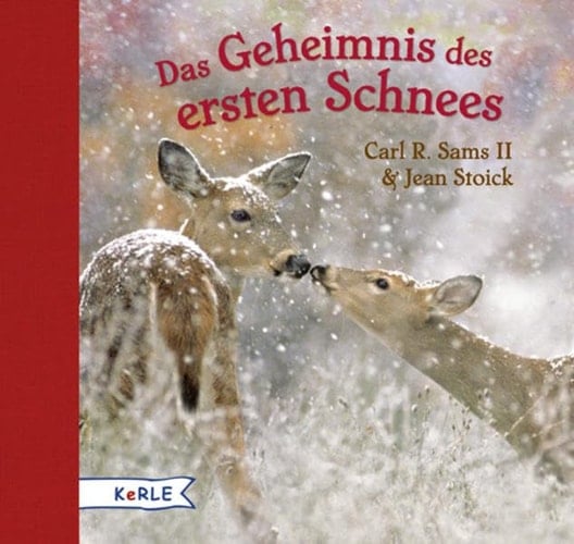 Das Geheimnis des ersten Schnees ein fotografisches Märchen