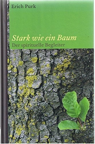 Stark wie ein Baum der spirituelle Begleiter durch das Kirchenjahr