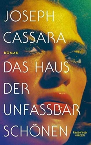 Das Haus der unfassbar Schönen Roman
