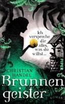 Brunnengeister – Ich verspreche dir alles, was du willst ... Roman | Düster-atmosphärische Fairy-Tale-Fantasy