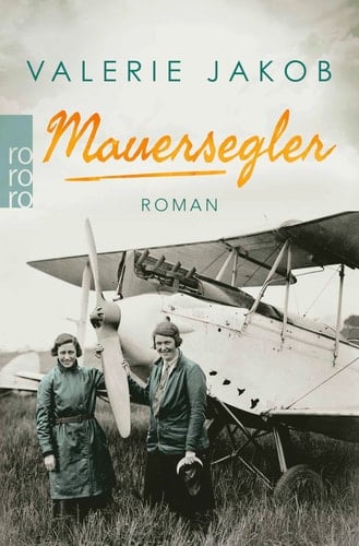 Mauersegler Roman
