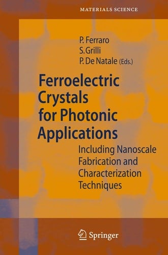 Ferroelectric Crystals for Photonic Applications Including Nanoscale Fabrication and Characterization Techniques
