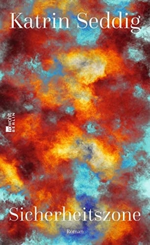 Sicherheitszone Roman