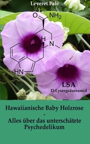 Hawaiianische Baby Holzrose Alles über das unterschätzte Psychedelikum