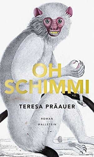Oh Schimmi Roman