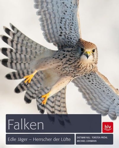 Falken edle Jäger - Herrscher der Lüfte